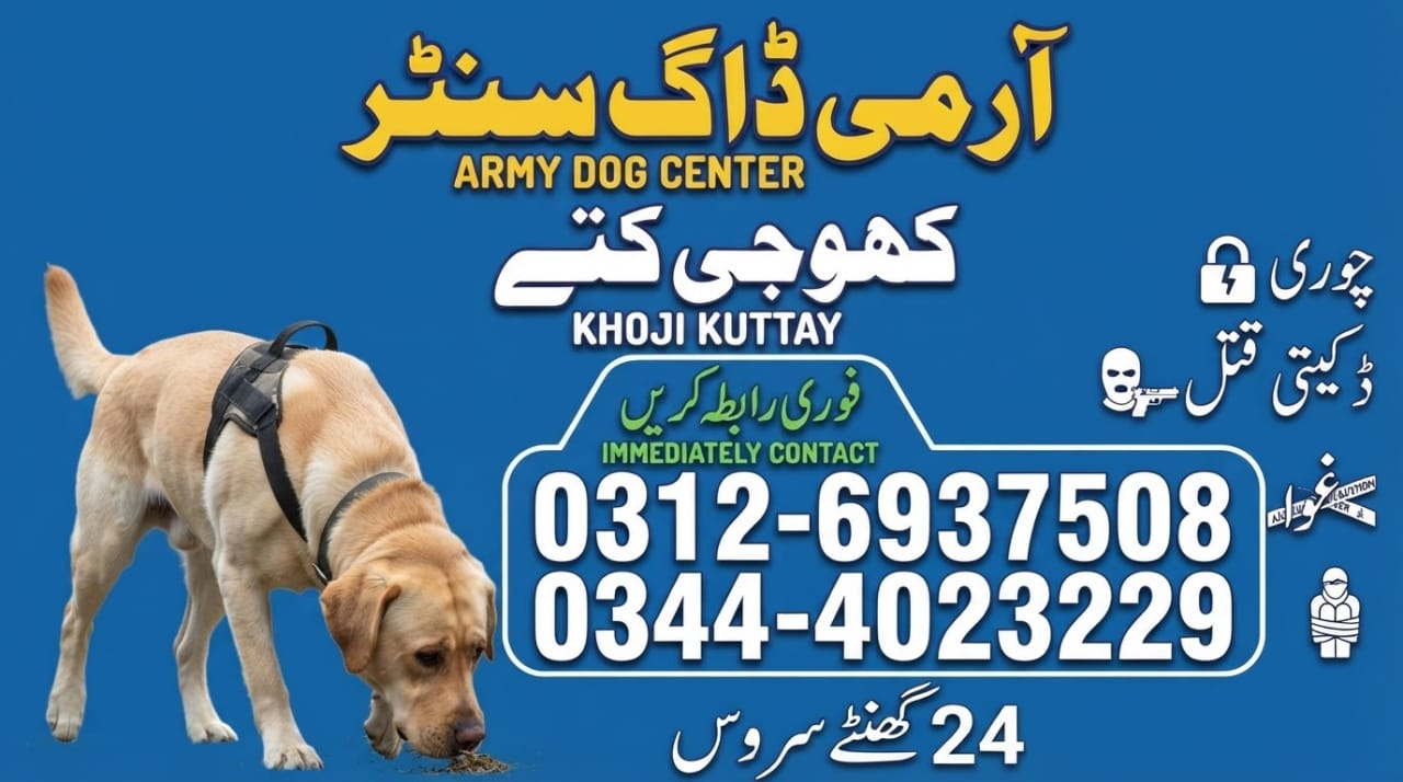 Army Dog Center Team Image 4