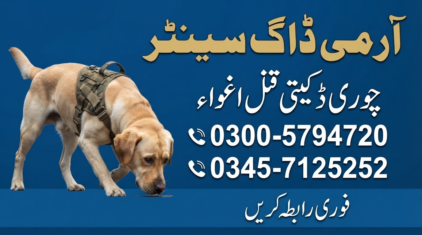 Army Dog Center Team Image 5
