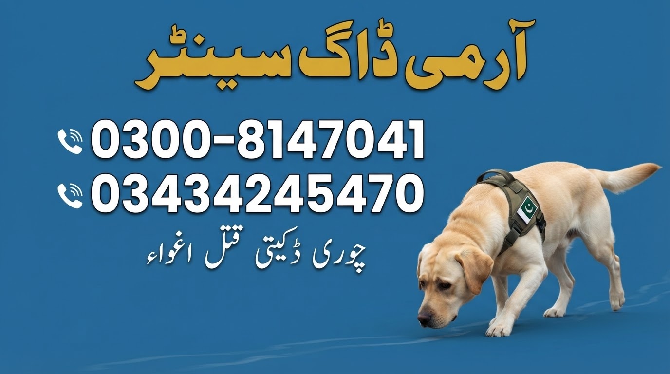 Army Dog Center Team Image 6