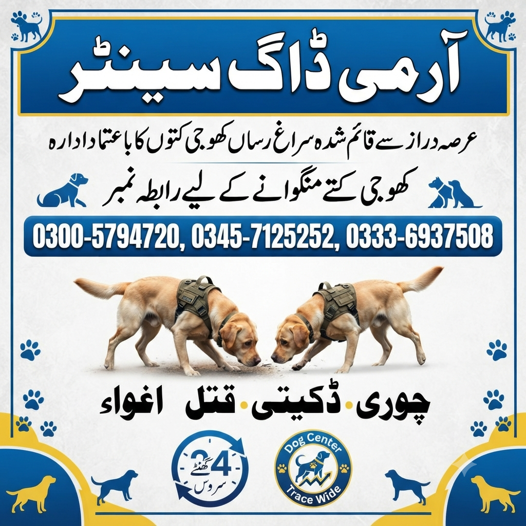 Army Dog Center Baidian