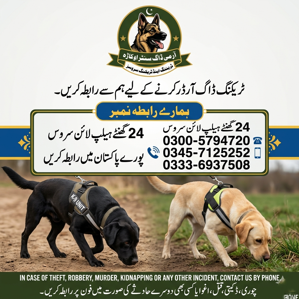 Army Dog Center Shahdadkot